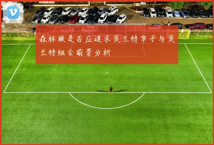 森林狼是否应追求莫兰特华子与莫兰特组合前景分析