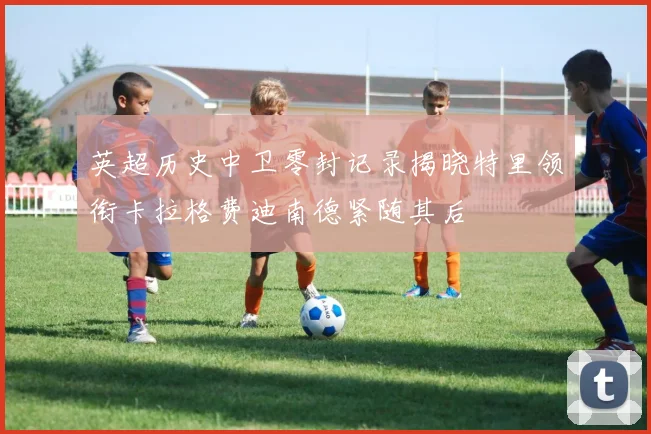 英超历史中卫零封记录揭晓特里领衔卡拉格费迪南德紧随其后